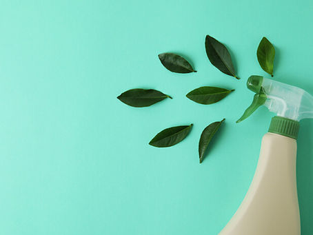 Nettoyage Écologique dans les Entreprises : Un Engagement envers l'Environnement et la Santé